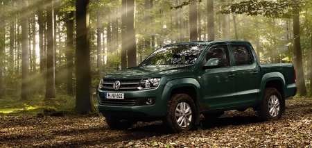 Sportholzfällen mit dem Amarok.